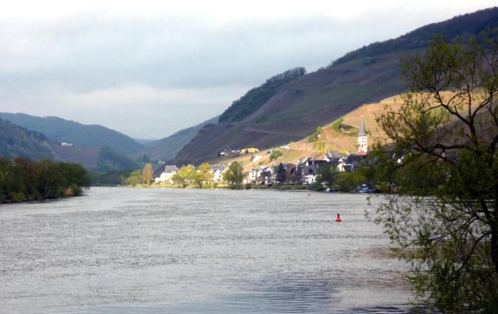 Panorama-Cafe Moselgarten อัลฟ์ ภายนอก รูปภาพ
