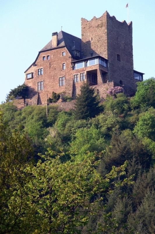 Panorama-Cafe Moselgarten อัลฟ์ ภายนอก รูปภาพ