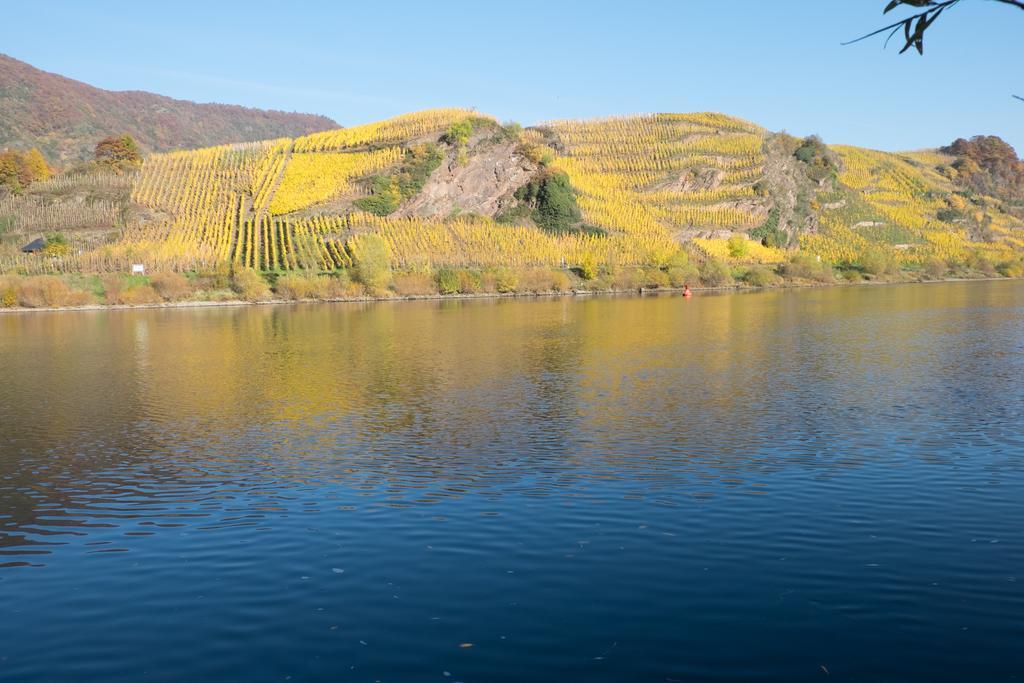 Panorama-Cafe Moselgarten อัลฟ์ ภายนอก รูปภาพ